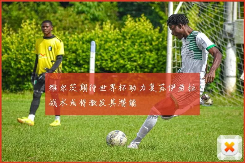 维尔茨期待世界杯助力复苏伊劳拉战术或将激发其潜能