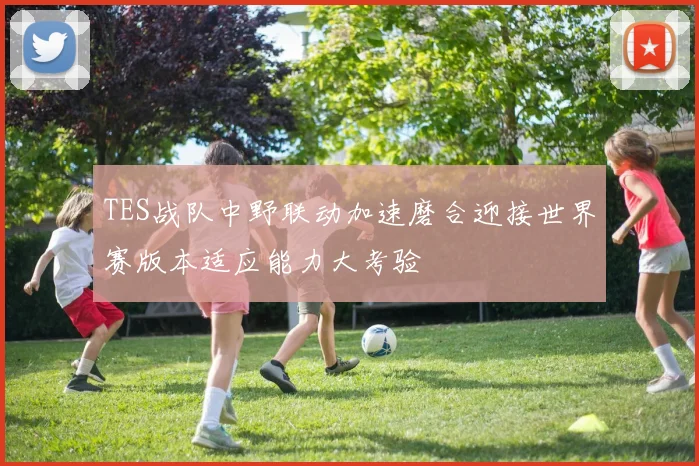 TES战队中野联动加速磨合迎接世界赛版本适应能力大考验